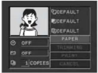 CANON MVX330i - Paper Settings - 1
