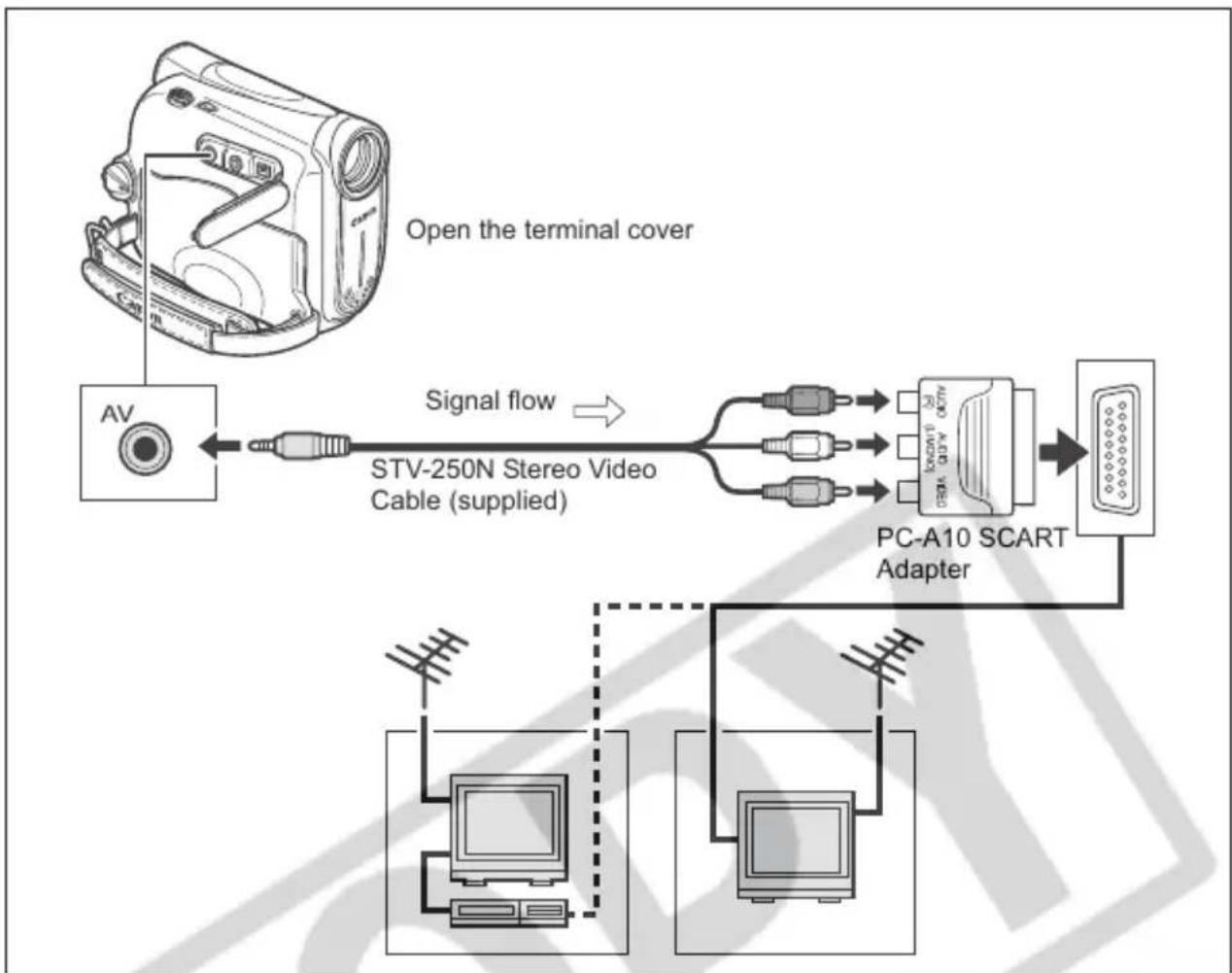 CANON MV900 - TVs with SCART Terminal - 1