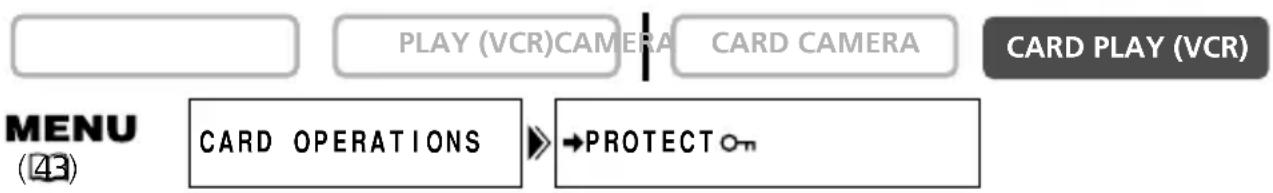 CANON MV630i - Protecting during Index Screen Display - 1