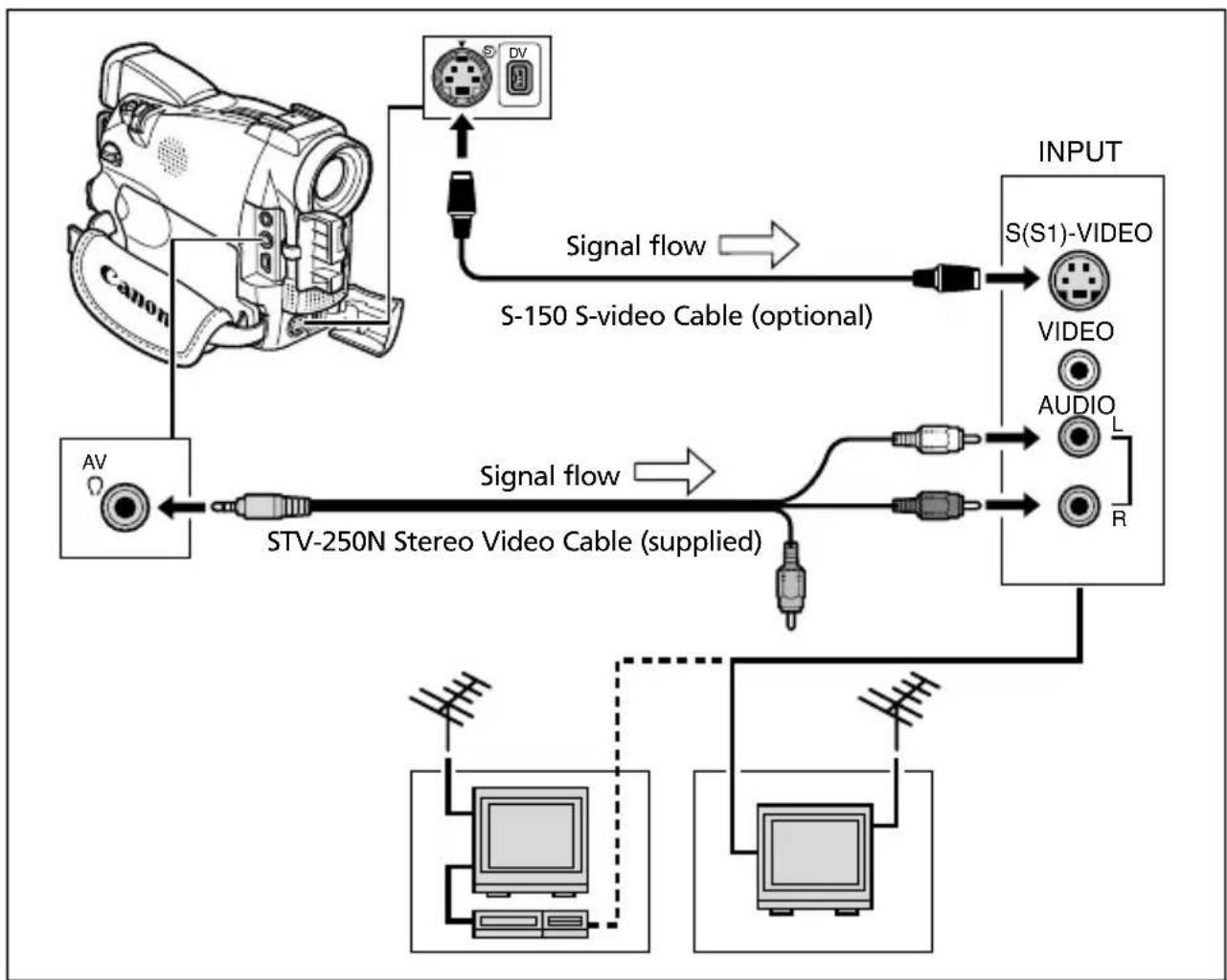 CANON MV630i - TVs with S (S1)-Video Input Terminal - 1