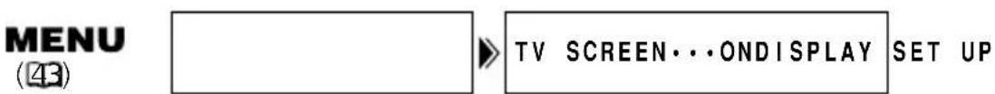 CANON MV630i - Press the TV SCREEN button on the wireless controller. - 3