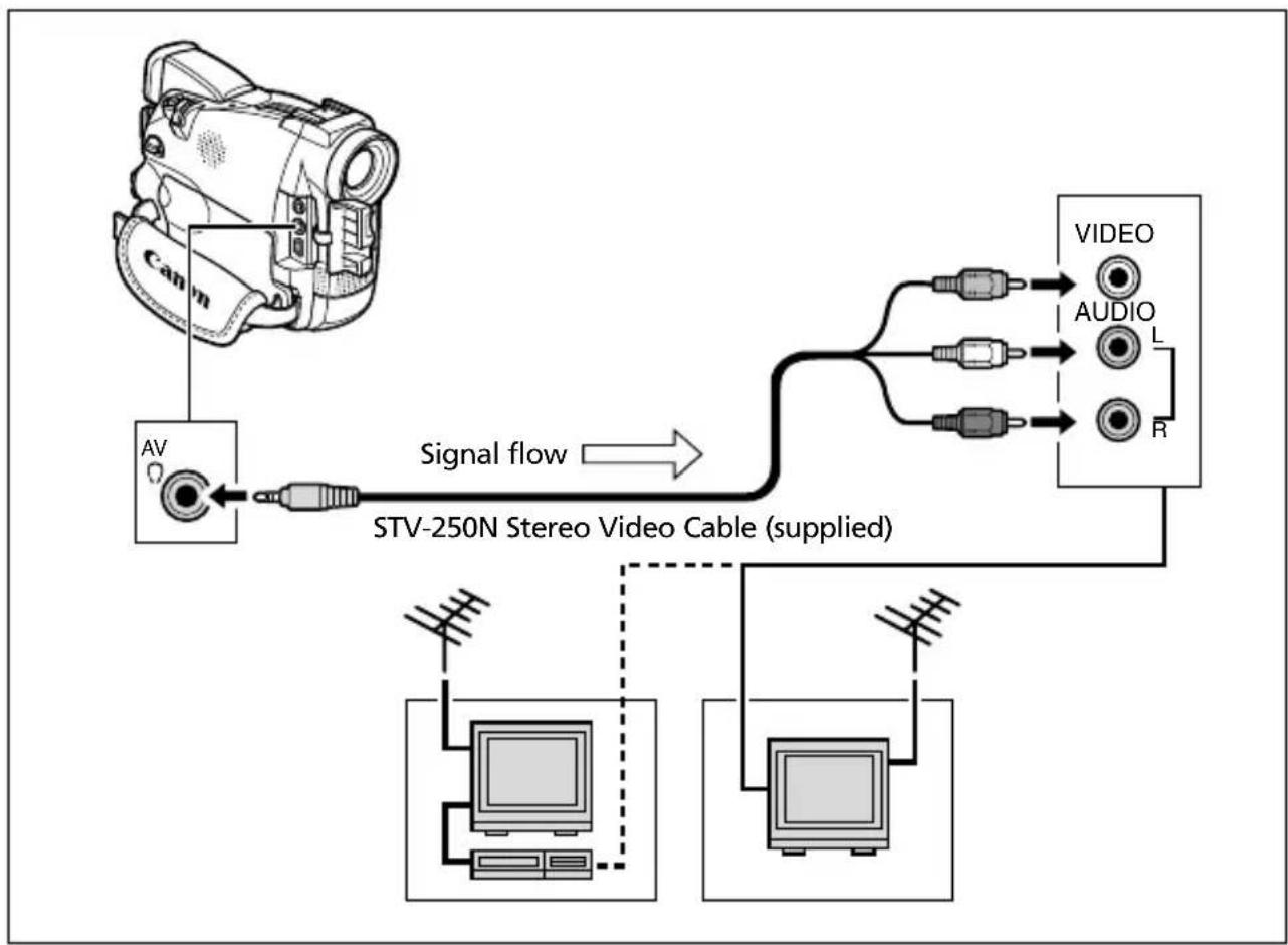 CANON MV630i - TVs with Audio/Video Terminals - 1
