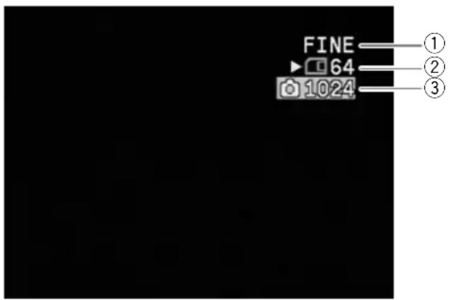 CANON MV700 - Screen Displays during Still Image Recording - 1