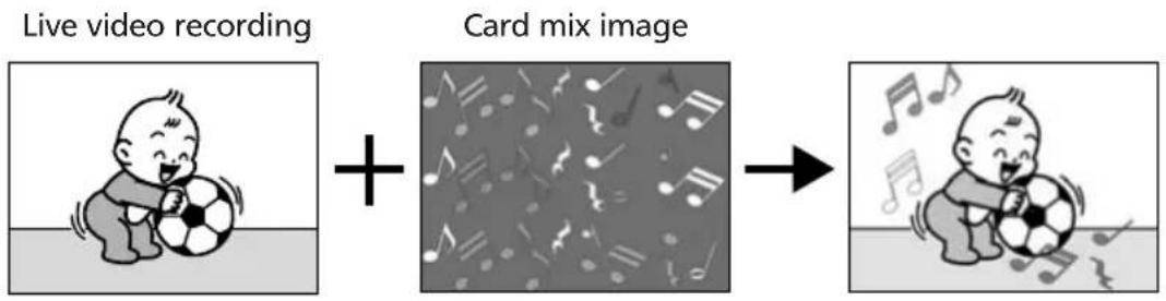 CANON MV700 - Card Animation (C. ANIMATION) - 1