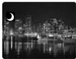 CANON MV700 - Using the Night Modes - 2