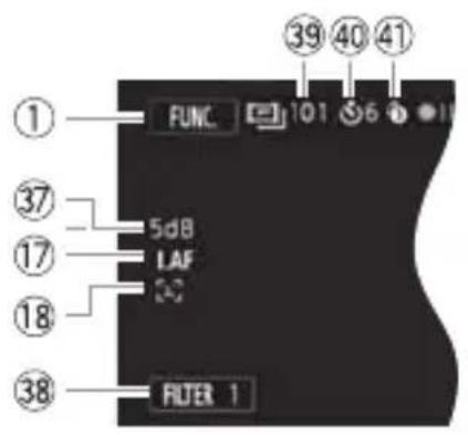 CANON Legria HF M46 - M Manual mode CINEMA mode - 2