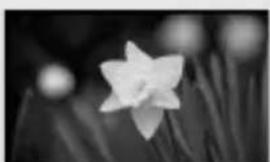 CANON Legria HF M46 - Shutter Speed and Aperture Value Guidelines - 4