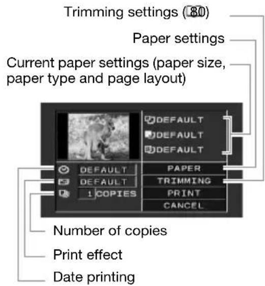 CANON HG10 - t ) Printing after Changing the Print Settings - 3