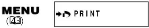 CANON MV650i - Printing with Print Order Settings - 2