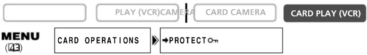 CANON MV650i - Protecting during Index Screen Display - 1