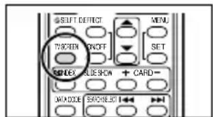 CANON MV650i - Press the TV SCREEN button on the wireless controller. - 1