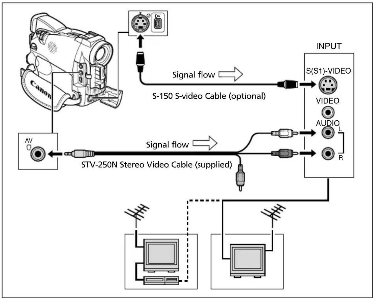CANON MV650i - TVs with S (S1)-Video Input Terminal - 1