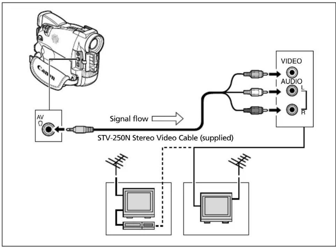 CANON MV650i - TVs with Audio/Video Terminals - 1
