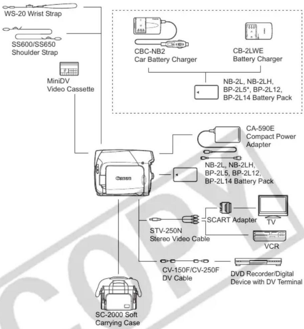 CANON MD101 - Playback on a TV Screen - 1