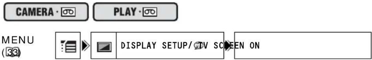 CANON MV901 - Hiding/Showing the Displays on the TV Screen - 1