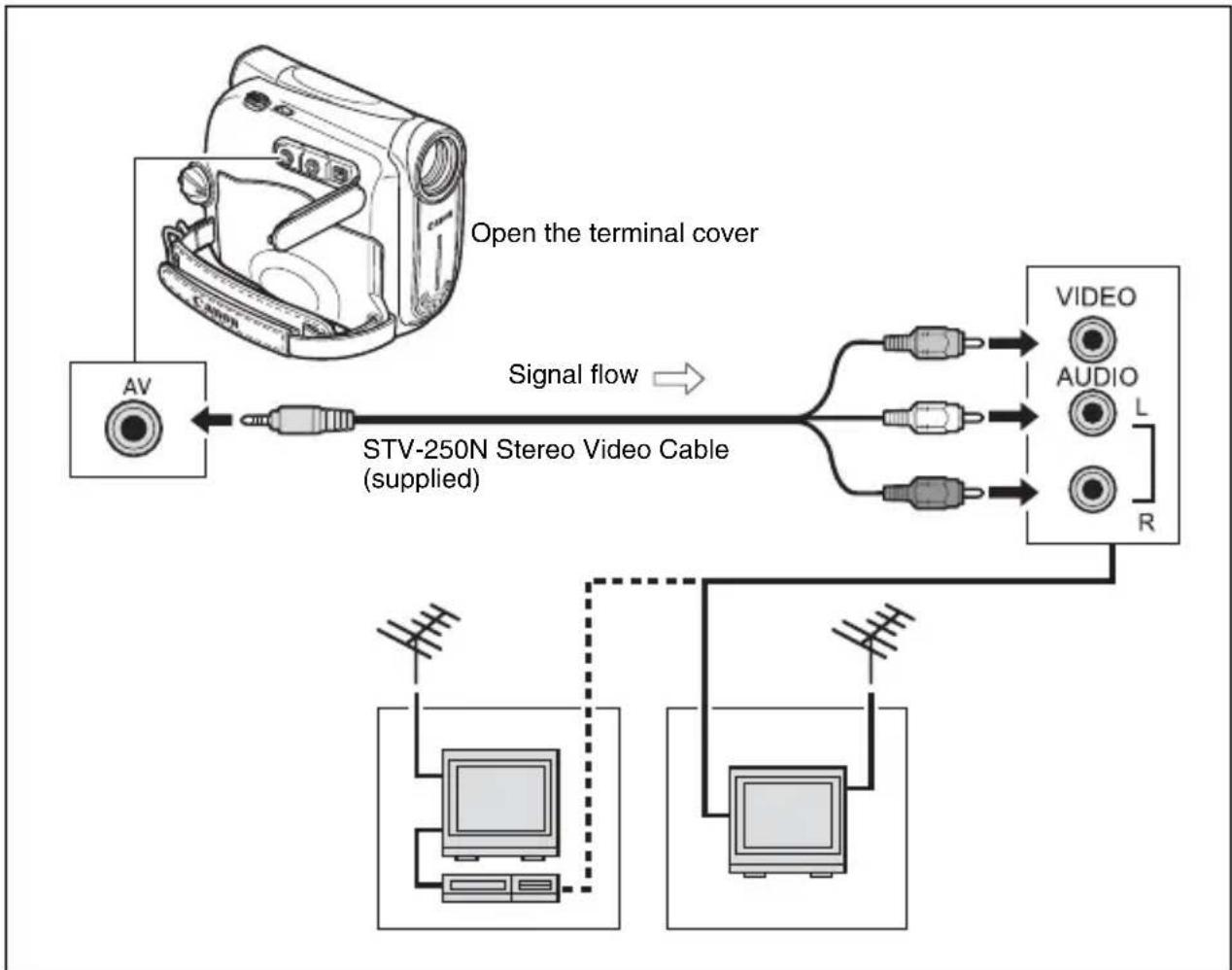 CANON MV901 - TVs with Audio/Video Terminals - 1