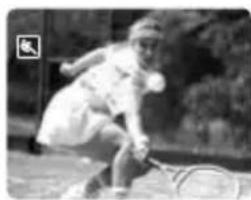 CANON MV901 - Sports - 1