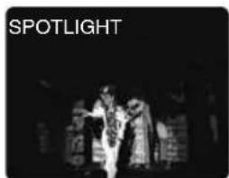 CANON MV5 - Spotlight - 1