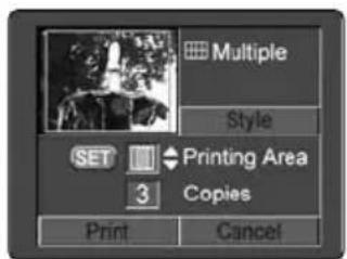 CANON MV5 - Setting the Printing Area - 2