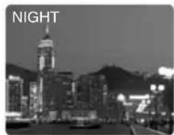 CANON MV5 - Night - 1