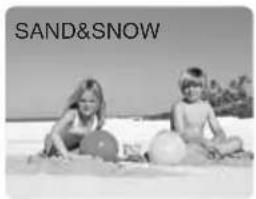 CANON MV5 - Sand & Snow - 1