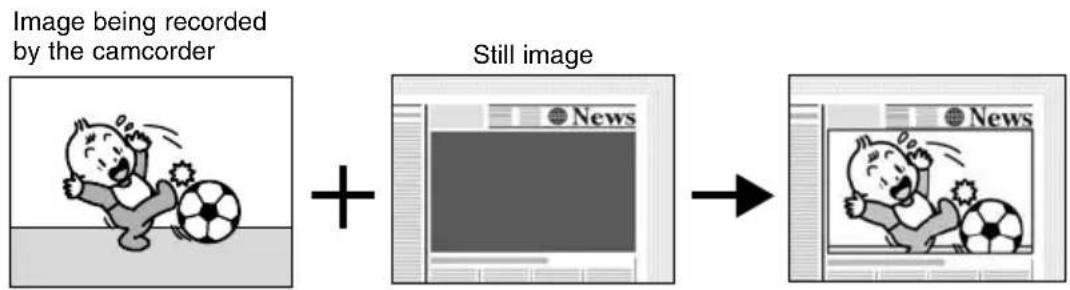 CANON MV5 - CARD CHROMA (Card chroma key) - 1