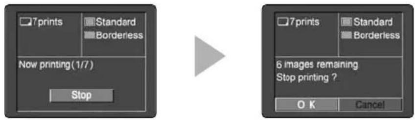 CANON MV5 - Cancel Printing - 1