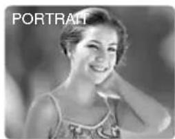 CANON MV5 - Portrait - 1