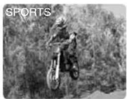 CANON MV5 - Sports - 1