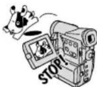 CANON MV5 - Still Images - 1