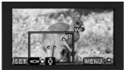 CANON HV10 - Change the size of the trimming frame. - 1