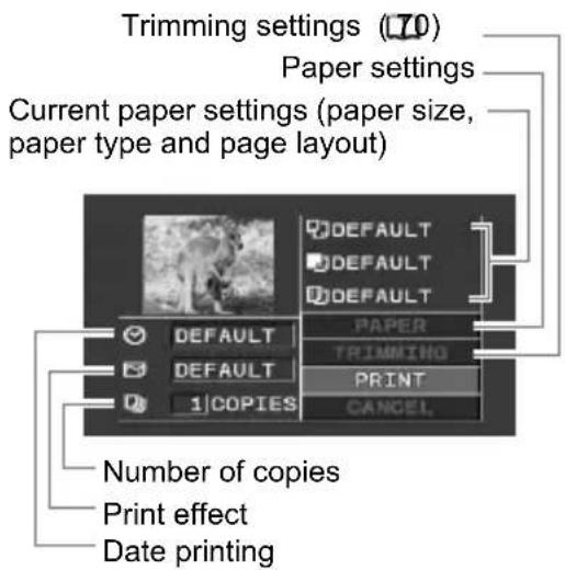 CANON HV10 - Selecting the Print Settings - 1