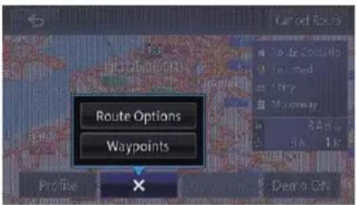 Route Options Waypoints