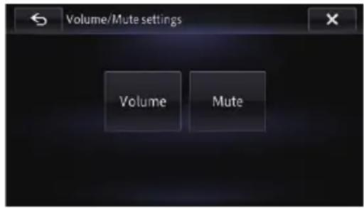Volume/Mute settings Volume Mute