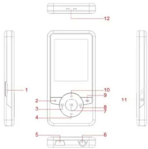 MEMUP K18 - Description - 1