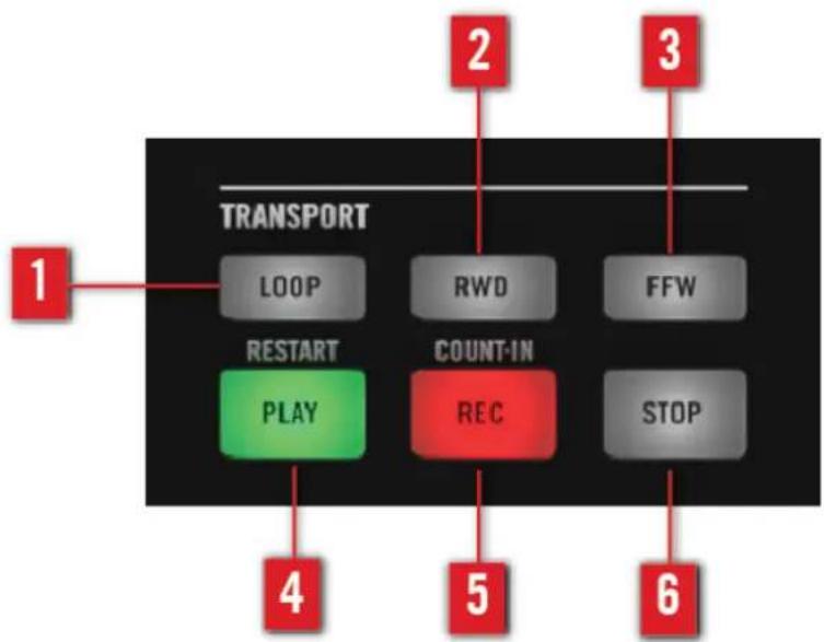 NATIVE INSTRUMENTS Komplete Kontrol S61 - Transport Controls - 4
