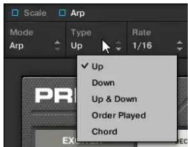 Scale Arp Mode Type Rate Arp Up 1/16 ✓ Up Down Up & Down Order Played Chord