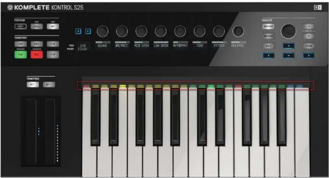 KOMPLETE KONTROL S25 PERFORM SHIFT TRANSFORM LOOP RWD FTR HOTERT CORNIS SUPPORT PLAY PREF L/PB C/SSY SOUND BALANCE MOZZ GREEN LOW GROWN WHIPMINT TONG ATTIFLER RELEASE NORATE BRINSE NEXTANCE BACK ENTER TRANSFORM SET- SET+