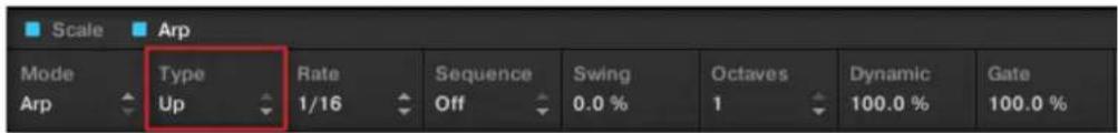 Scale Arp Mode Type Rate Sequence Swing Octaves Dynamic Gate Arp Up 1/16 Off 0.0 % 1 100.0 % 100.0 %