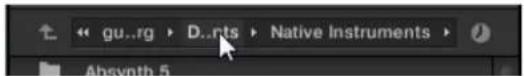 gu..rg D..nts Native Instruments Absynth 5