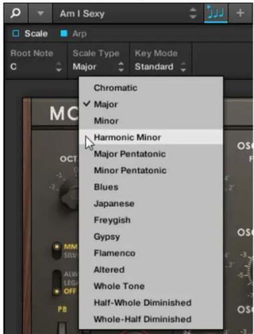 Am I Sexy Scale Arp Root Note Scale Type Key Mode C Major Standard Chromatic ✓ Major Minor Harmonic Minor Major Pentatonic Minor Pentatonic Blues Japanese Freygish Gypsy Flamenco Altered Whole Tone Half-Whole Diminished Whole-Half Diminished