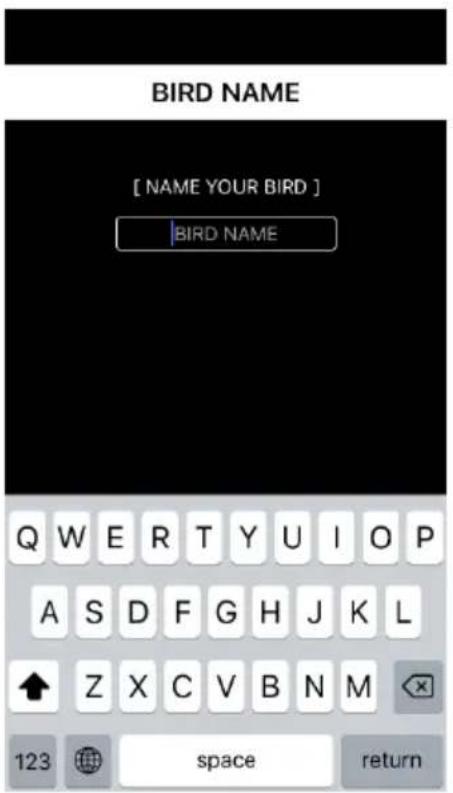 XTIM Bionic Bird - II - INSTALLING THE APPLICATION ON YOUR SMARTPHONE - 2
