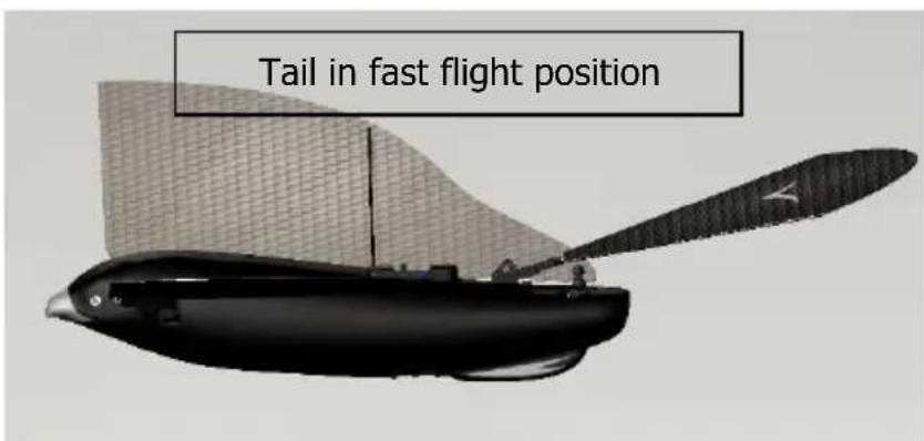 XTIM Bionic Bird - Adjusting the tail - 2