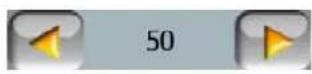 MIO DigiWalker P350 - Speed limit checked - 1