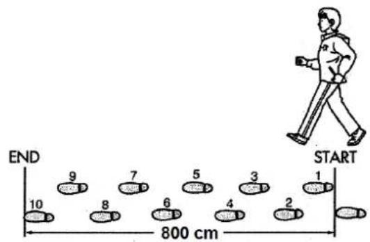 LENCO Podo-152 - b. Stride length measurement - 1