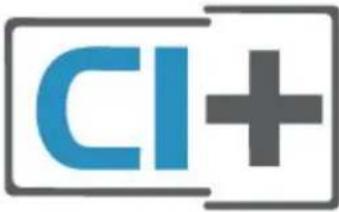 CI+