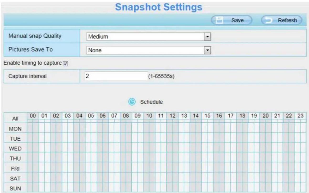 FOSCAM SD2X - Snapshot Settings - 1