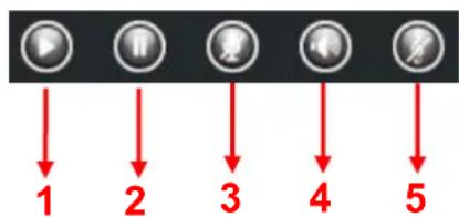 FOSCAM SD2X - Section 7 Play / Stop / Snap / Record / Full screen button - 1