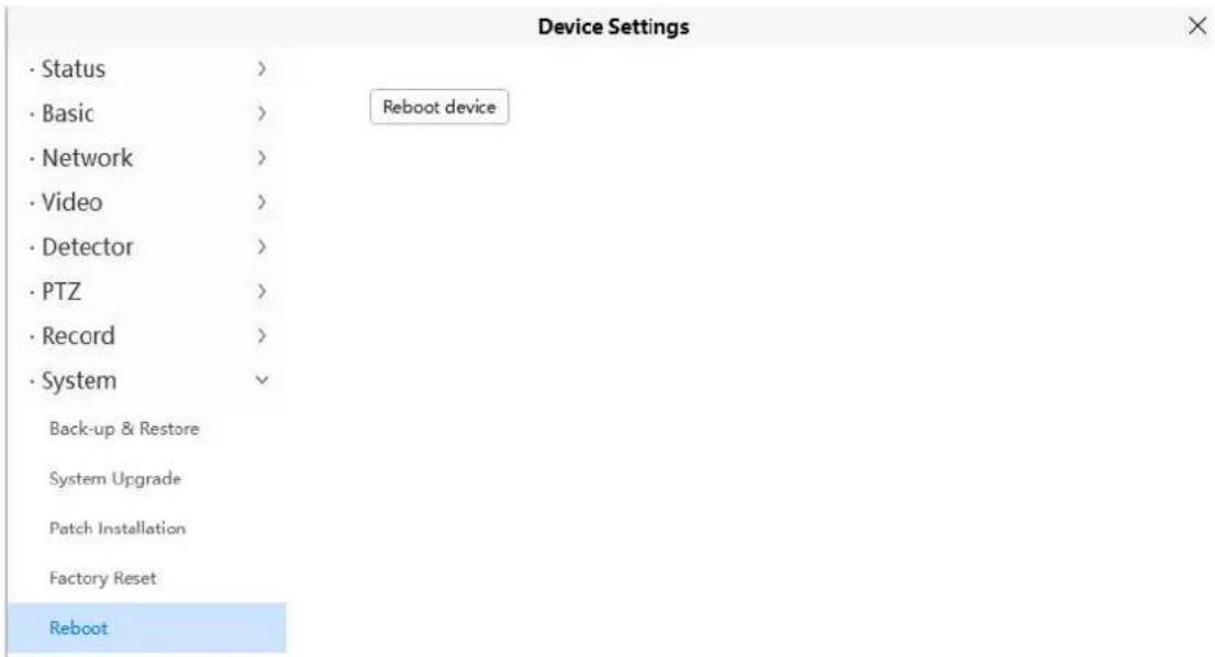 FOSCAM SD2X - Reboot - 1