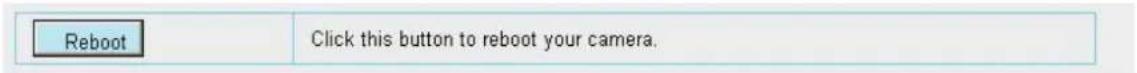 FOSCAM SD2X - Reboot - 1